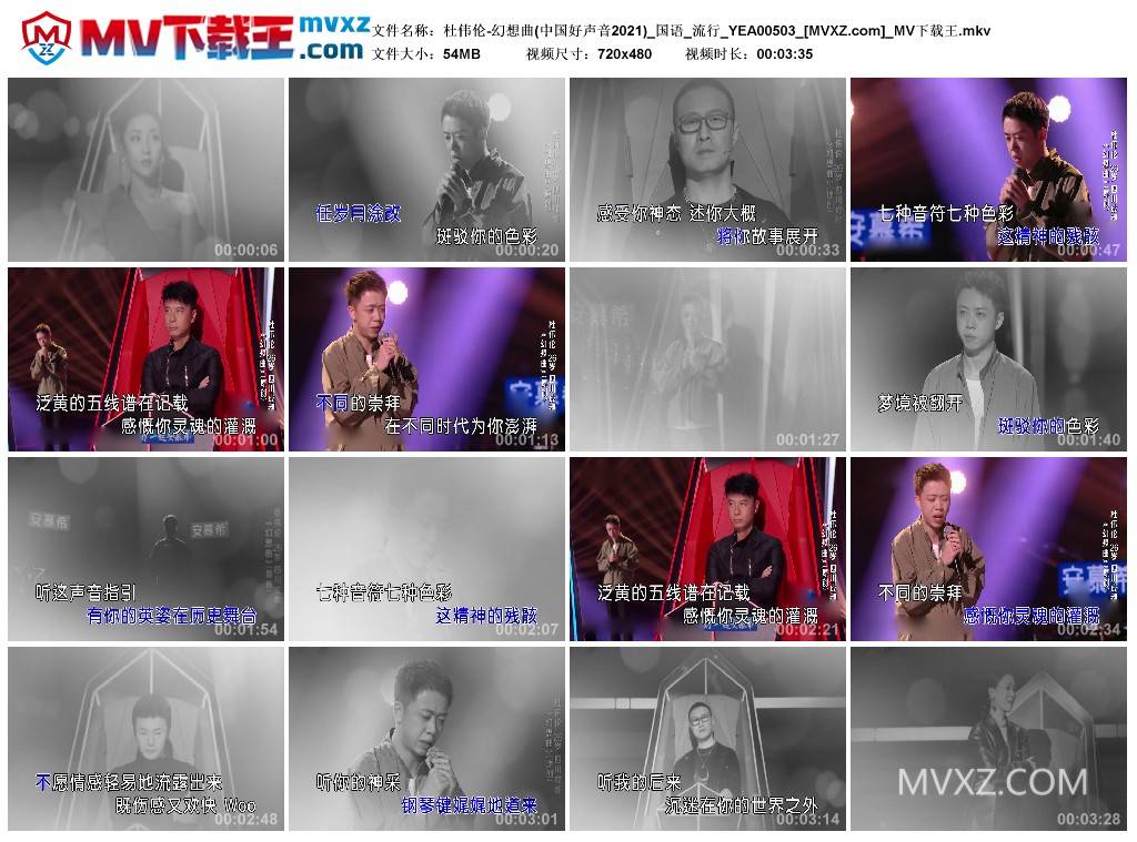 杜伟伦-幻想曲(中国好声音2021)_国语_流行_YEA00503